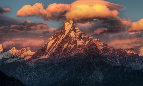 峨眉山雪芽2026新茶-峨眉山雪芽茶多少钱一斤专区_峨眉山雪芽专区_峨眉山雪芽功效网