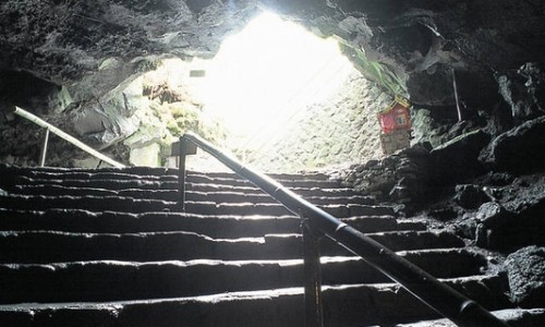 峨眉雪芽大概价位-峨眉山雪芽茶多少钱一斤专区_峨眉山雪芽专区_峨眉山雪芽功效网